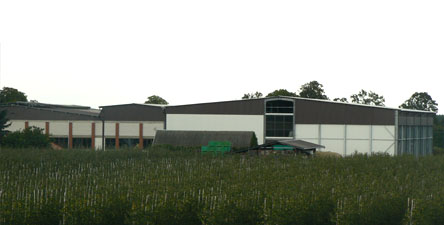 Gospodarstwo Sadownicze